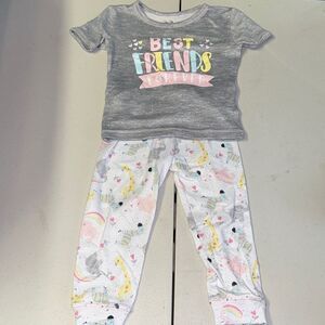 3t animals pajamas- some pilling